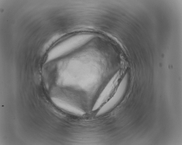 X0000076071363200610152217