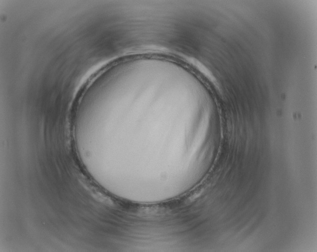 X0000076071364200610152217