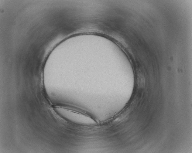 X0000076071366200610152217