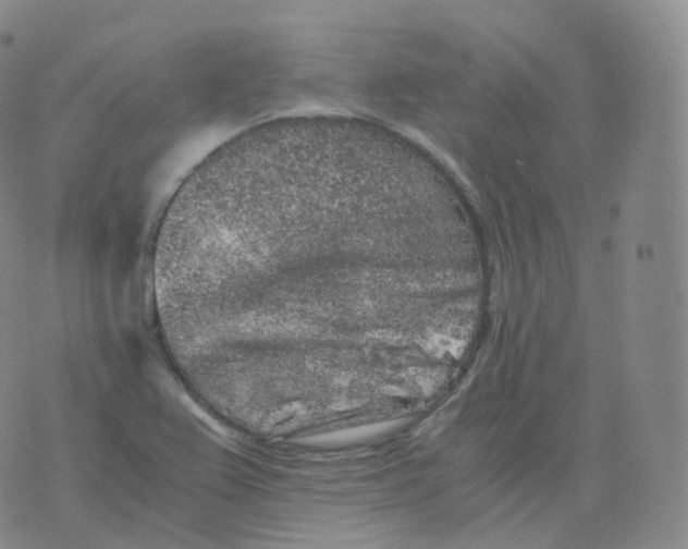 X0000076071367200610152217