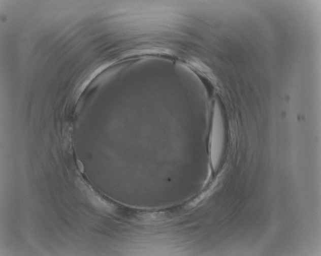 X0000076071369200610152217