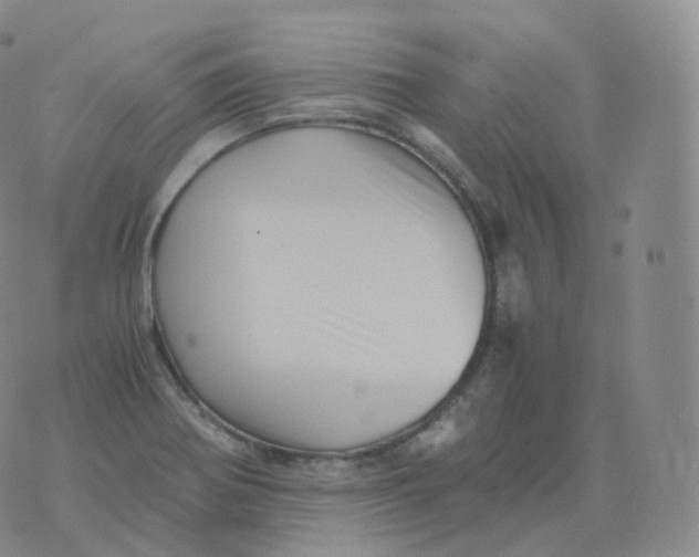 X0000076071370200610152217