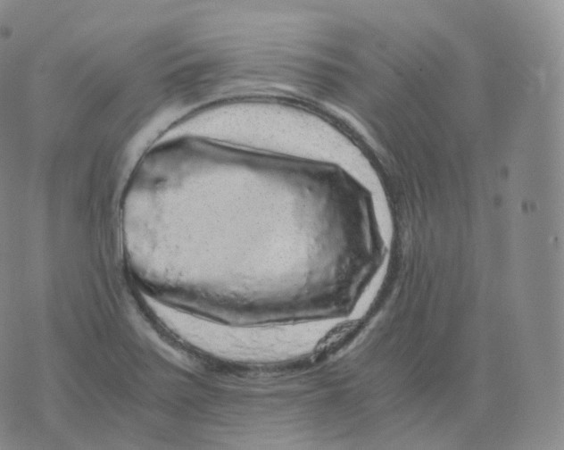 X0000076071371200610152217