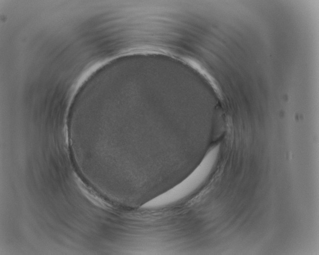 X0000076071372200610152217