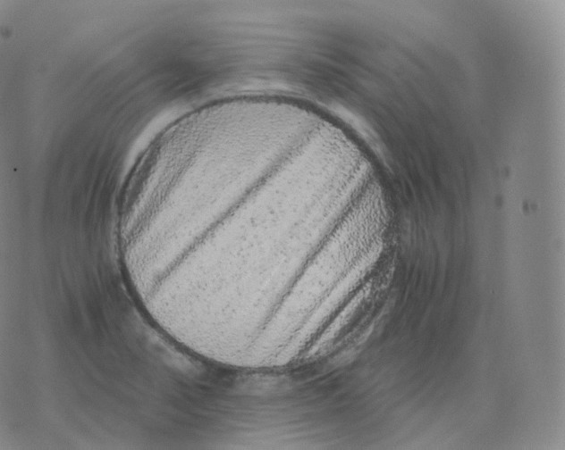 X0000076071374200610152217