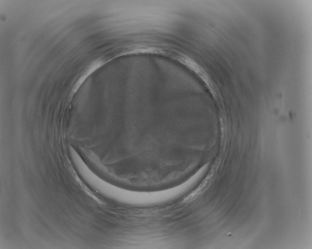 X0000076071377200610152217