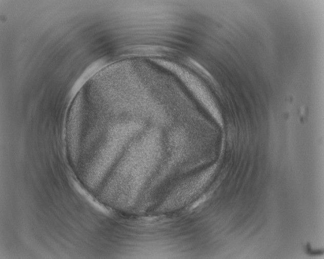 X0000076071378200610152217