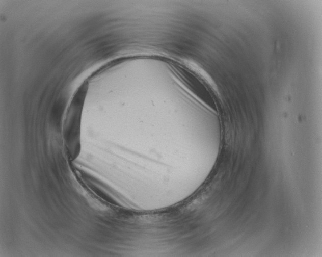 X0000076071380200610152217