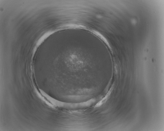 X0000076071381200610152217