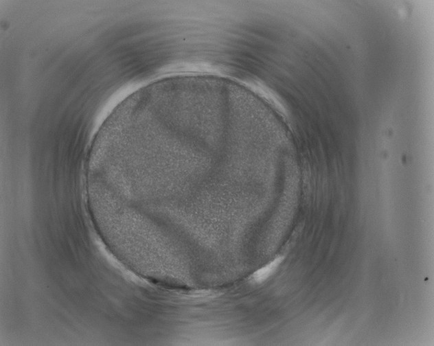 X0000076071382200610152217