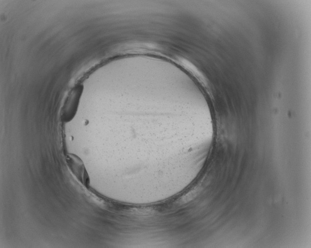 X0000076071384200610152217