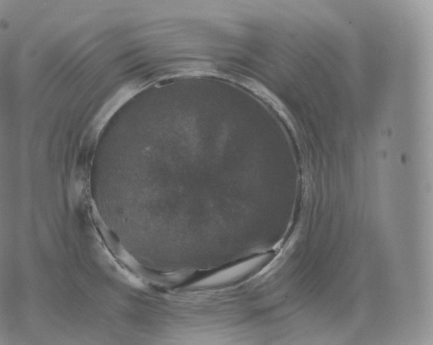 X0000076071385200610152217