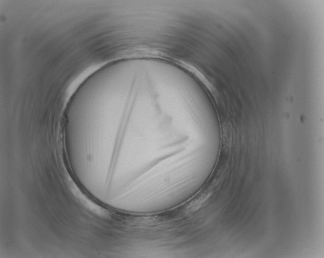 X0000076071387200610152217