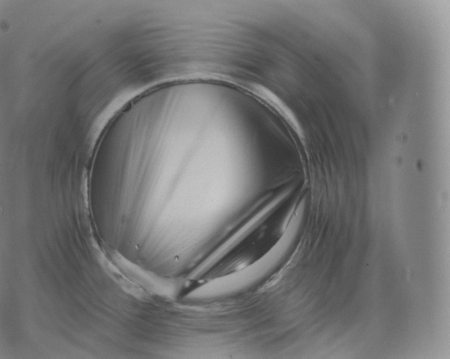 X0000076071388200610152217