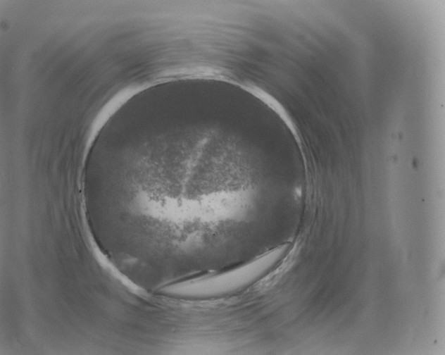 X0000076071389200610152217