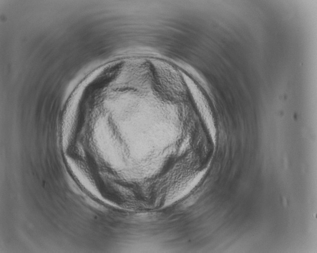 X0000076071390200610152217