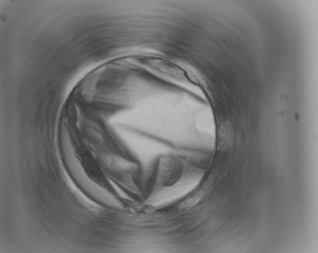 X0000076071391200610152216