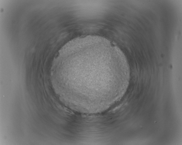 X0000076071393200610152216