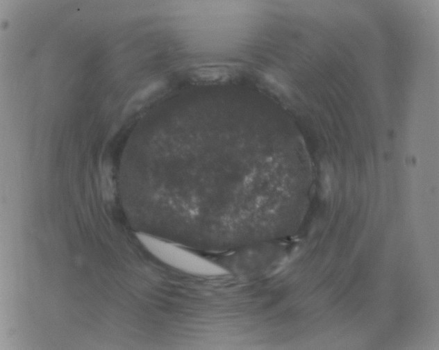 X0000076071394200610152216