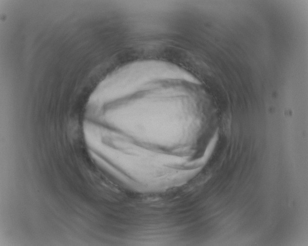 X0000076071395200610152216