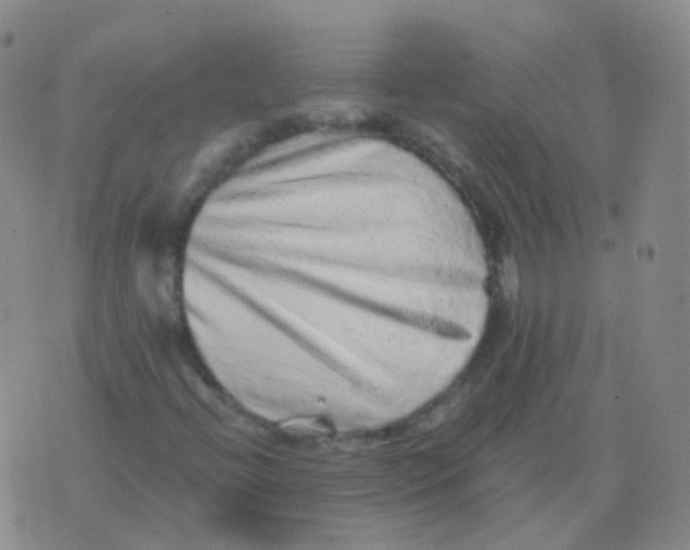 X0000076071396200610152216