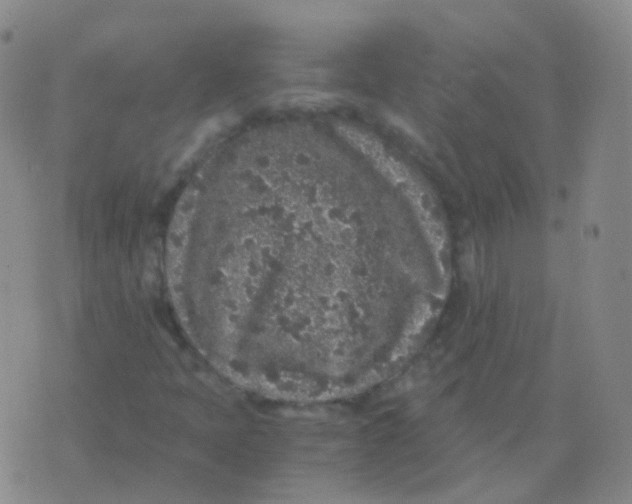 X0000076071397200610152216