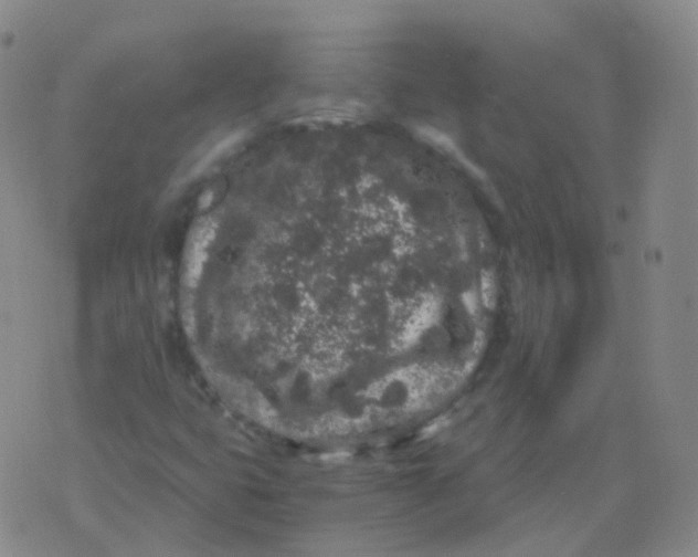 X0000076071399200610152216