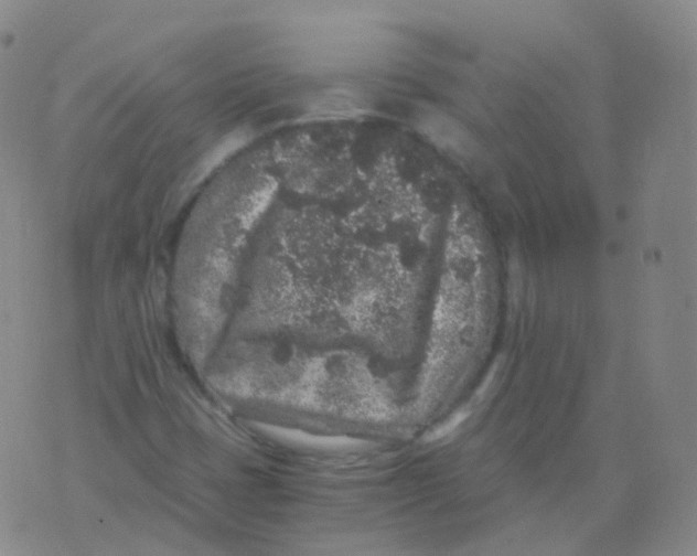 X0000076071401200610152216