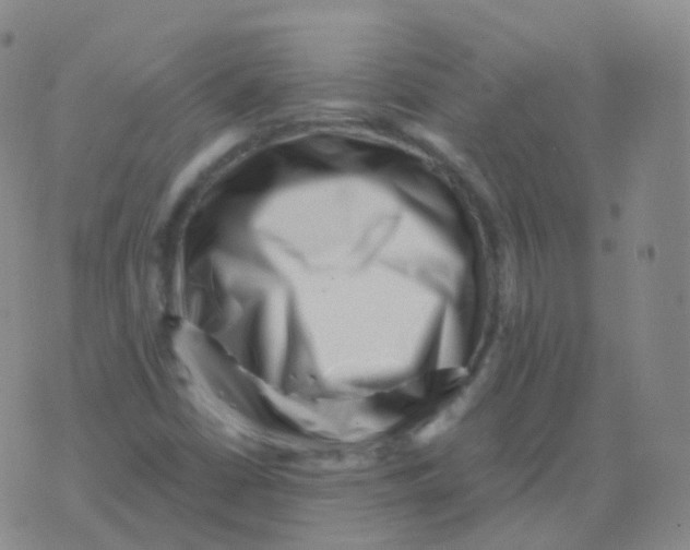 X0000076071402200610152216