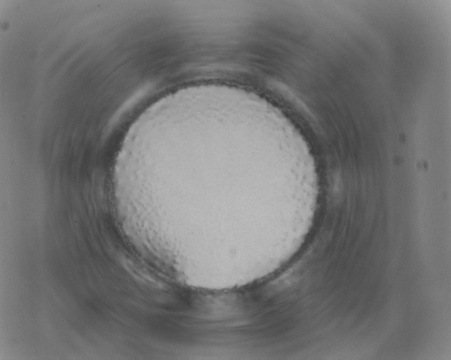 X0000076071403200610152216