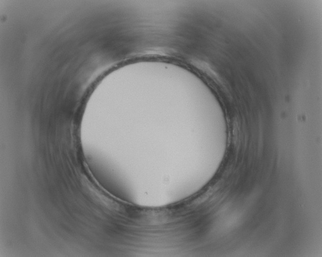 X0000076071404200610152216