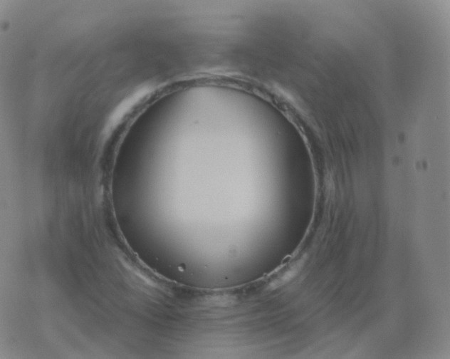 X0000076071406200610152216