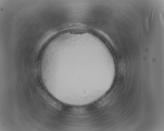 X0000076071407200610152216