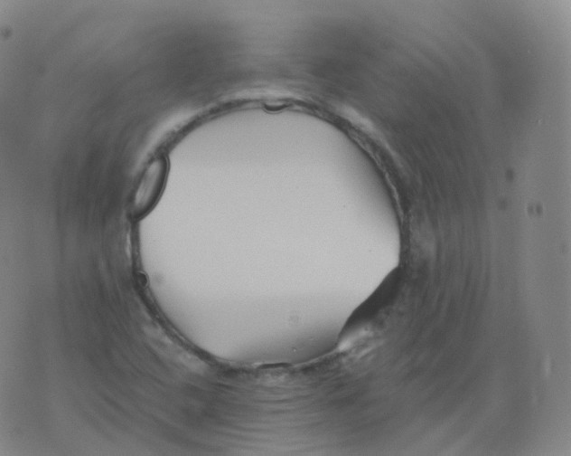 X0000076071408200610152216