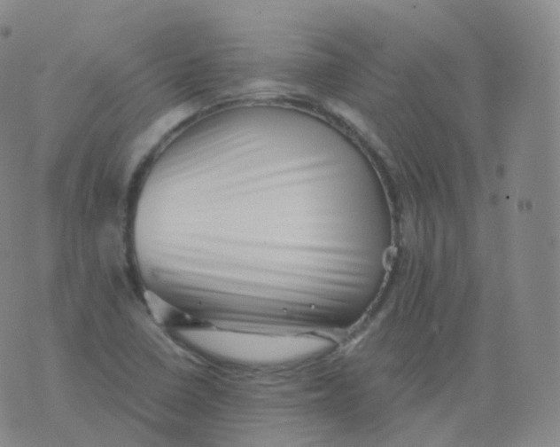 X0000076071410200610152216