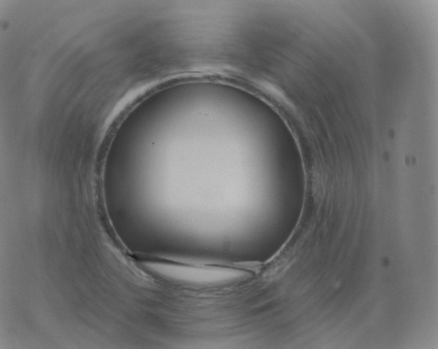 X0000076071412200610152216