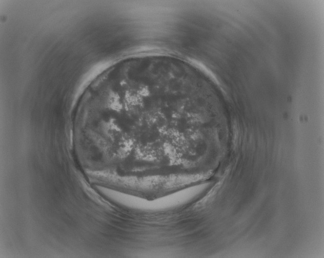 X0000076071413200610152216