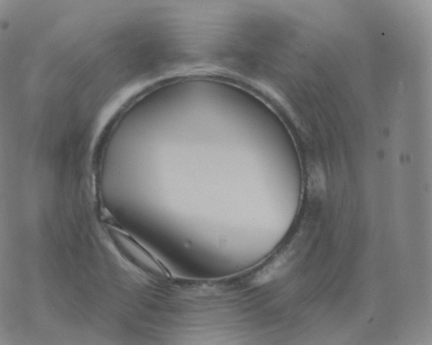 X0000076071414200610152216