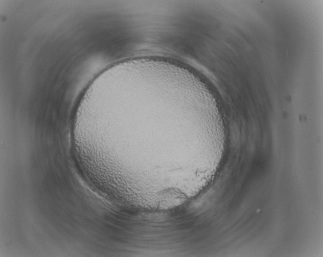 X0000076071415200610152216