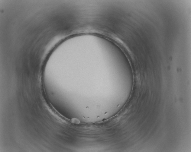 X0000076071416200610152216