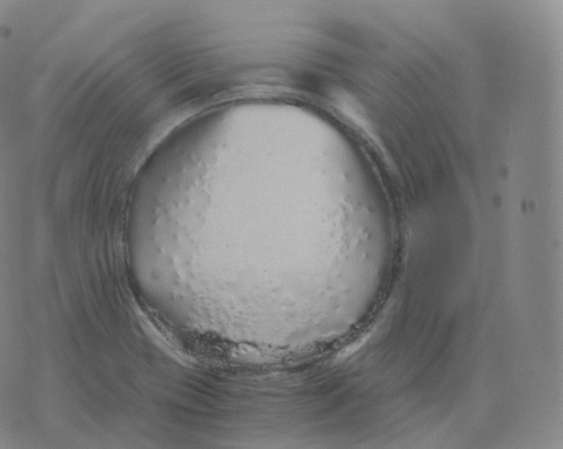 X0000076071417200610152216