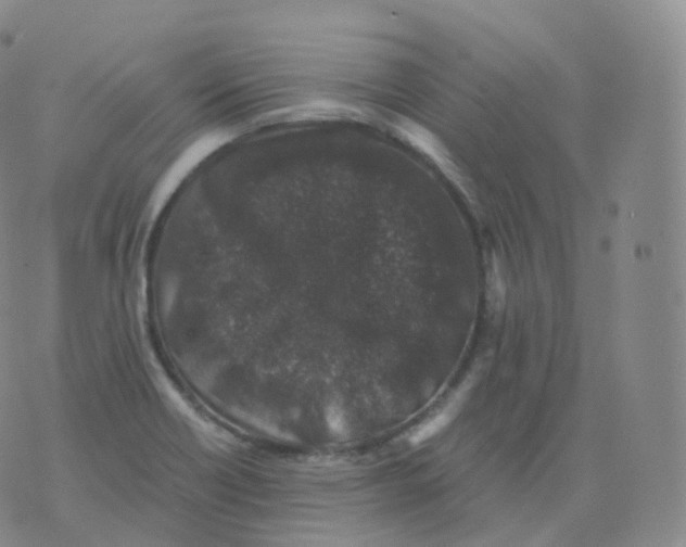 X0000076071418200610152216