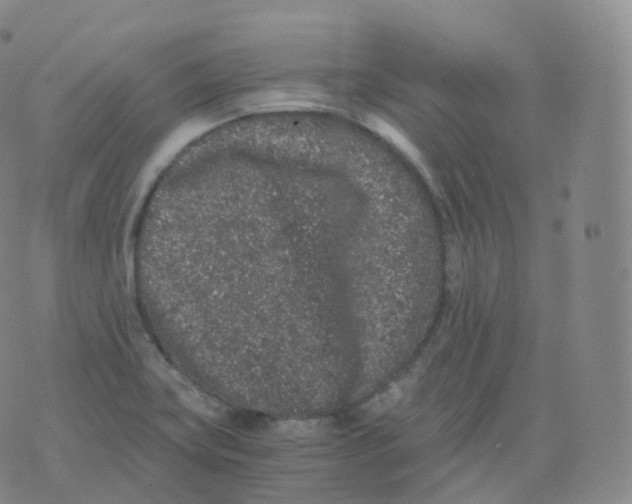 X0000076071419200610152216