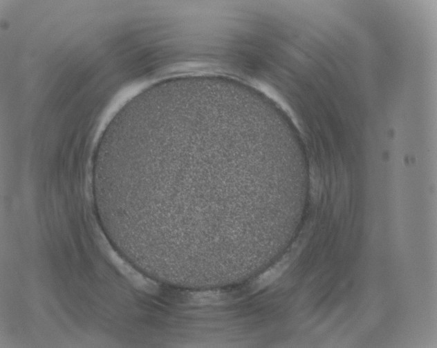 X0000076071421200610152216