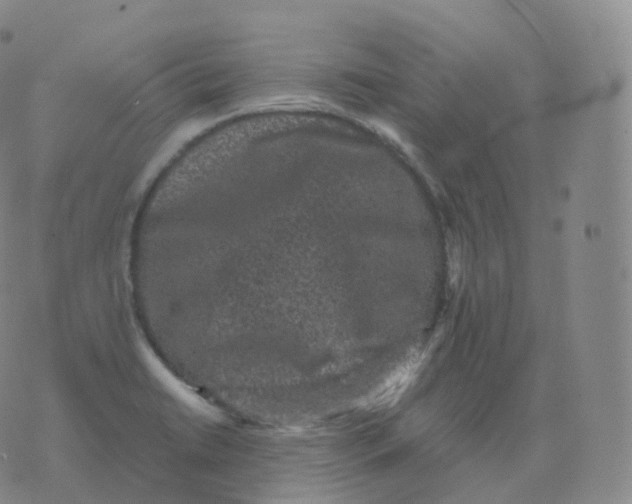 X0000076071422200610152216