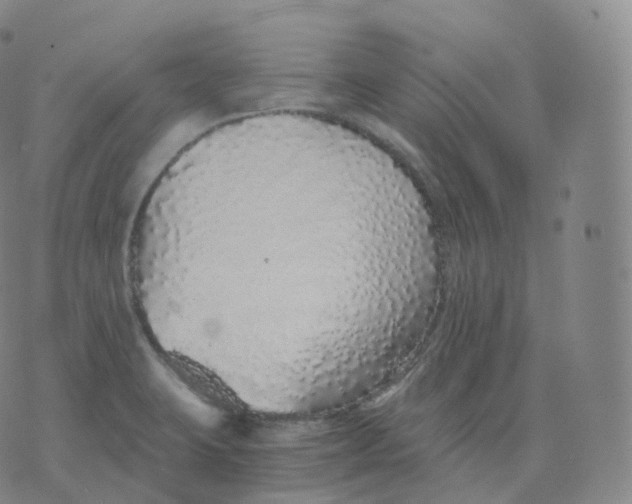 X0000076071423200610152216