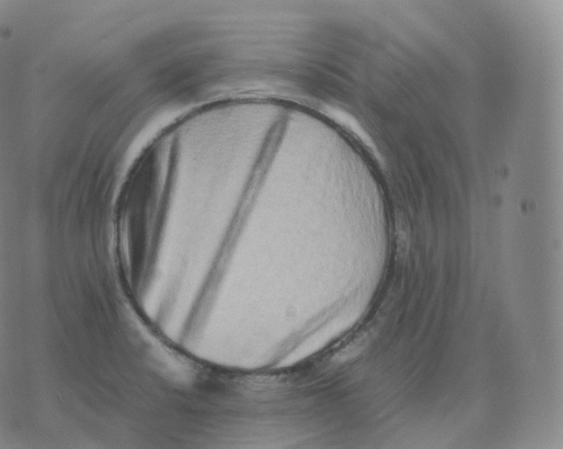 X0000076071424200610152216