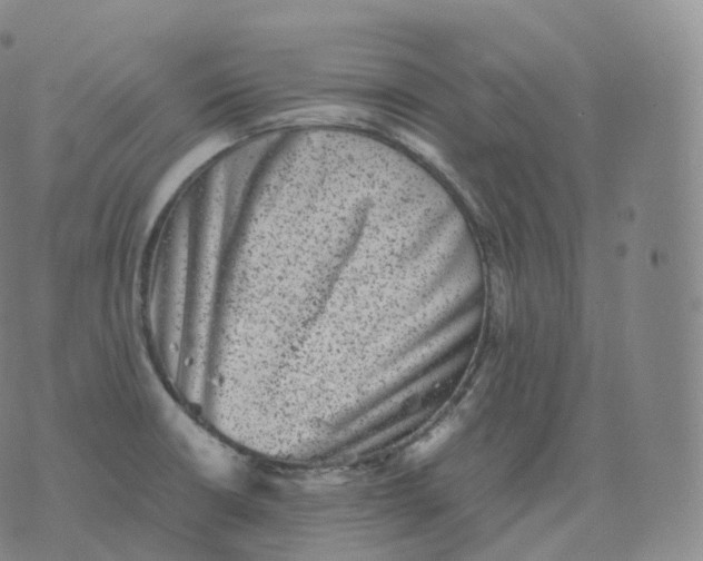 X0000076071426200610152216