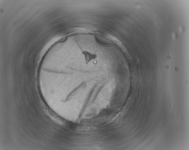 X0000076071427200610152216