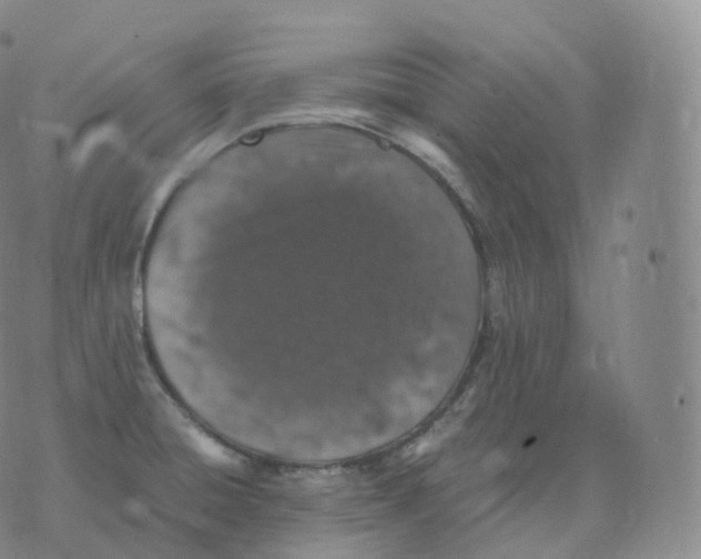 X0000076071428200610152216